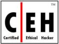 Certified Ethical Hacker